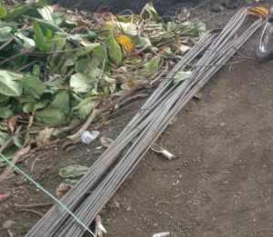 Aktivis PERAK Soroti Dugaan Penggunaan Material Tak Sesuai Spesifikasi di Proyek Revitalisasi SMKN 5 Takalar